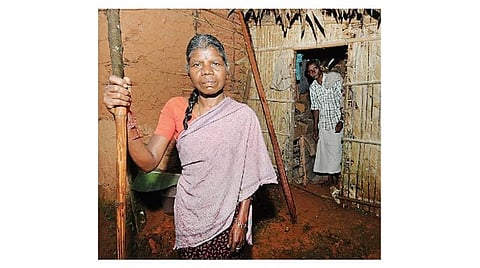 பசுமை எனது வாழ்வுரிமை 02: பழங்குடிகளுக்கு பிரிட்டிஷார் விதித்த தடை