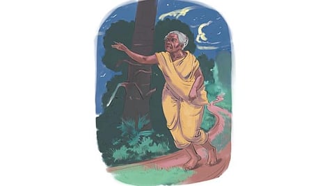 அன்றொரு நாள் இதே நிலவில் 25: வனப்பேச்சிக்கு அருகில் எரியும் தீபம்