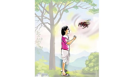 கதை: குளவி செய்த உதவி