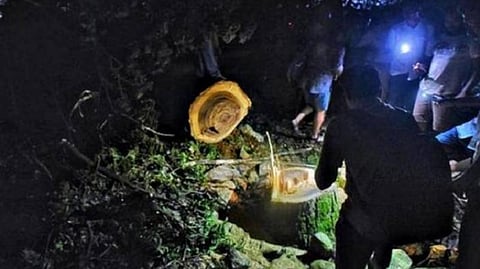 மும்பை காலனியில் மெட்ரோ ரயில் திட்டத்திற்காக நேற்றிரவு ஆரே காலனியில் மரம் வெட்டும் பணியில் ஈடுபட்ட அதிகாரிகள்.