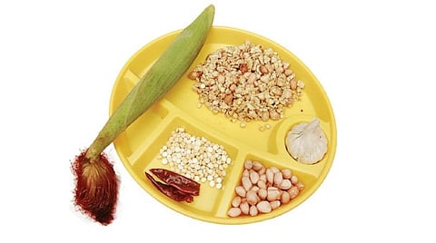 படங்கள்: ஜான் விக்டர்