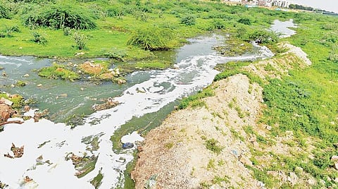 வைகை ஆற்றில் நுரை பொங்க ஓடும் கழிவுநீர். படம்: எஸ்.கிருஷ்ணமூர்த்தி