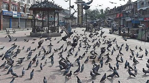 காஷ்மீரில் வட்டார வளர்ச்சி கவுன்சில் தேர்தல்