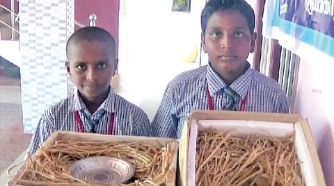 தாங்கள் கண்டுபிடித்த மரப்பெட்டி அடுப்புடன் மாணவர்கள் அன்பு வினோத், ஆகாஷ்.