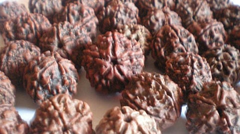 பெண்கள் ருத்ராட்சம் அணியலாமா?