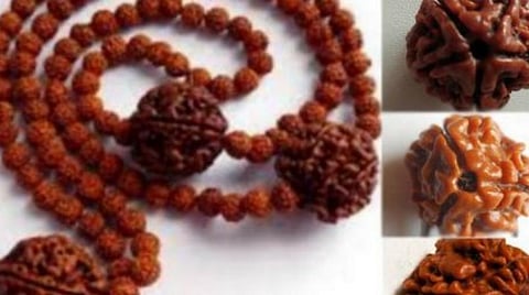 ஐந்து முக ருத்ராட்சம்... யாரெல்லாம் அணியலாம்?