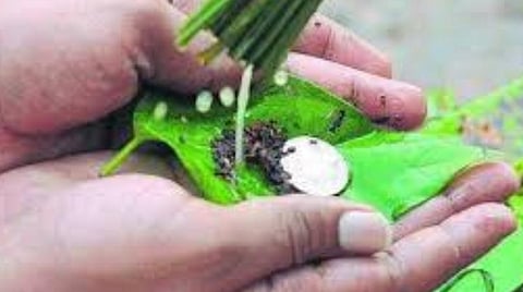 ஐப்பசி மாதப் பிறப்பில் தர்ப்பணம்!