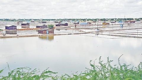 பருவமழை தொடங்கியதால் முடிவுக்கு வந்தது சீஸன்: தூத்துக்குடியில் 15 லட்சம் டன் உப்பு உற்பத்தி