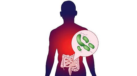மருத்துவம் தெளிவோம் 05: குடல் நுண்ணுயிரி நல்லதா, கெட்டதா?