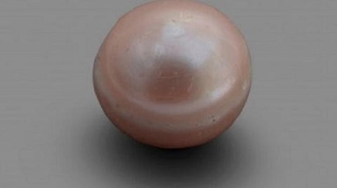 உலகின் பழமையான முத்து | படம்: ட்விட்டர் தளம்