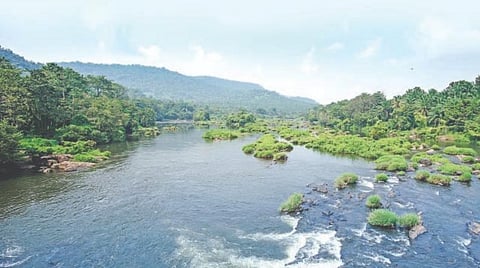 நதிகள் பிறந்தது நமக்காக! 3- சிலாகிக்க வேண்டிய சாலக்குடி!