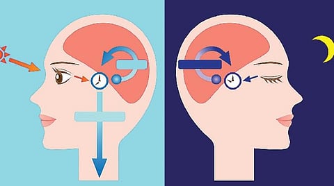 எங்கேயும் எப்போதும் 04: மெலடோனின் கண்களைத் தழுவிடுமா?
