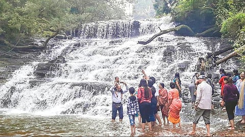 கொடைக்கானலில் உள்ள வட்டக்கானல் நீர்வீழ்ச்சியை கண்டு ரசிக்கும் சுற்றுலாப் பயணிகள். படம்: பி.டி.ரவிச்சந்திரன்