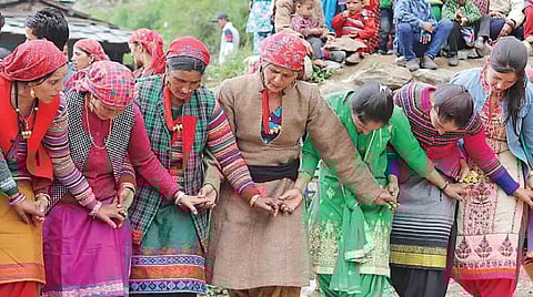 பசுமை எனது வாழ்வுரிமை 08: டிலாரி மக்களின் தியாகம்