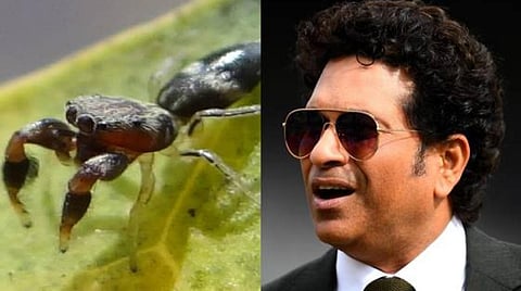 விளையாட்டாக படிக்கலாம்!