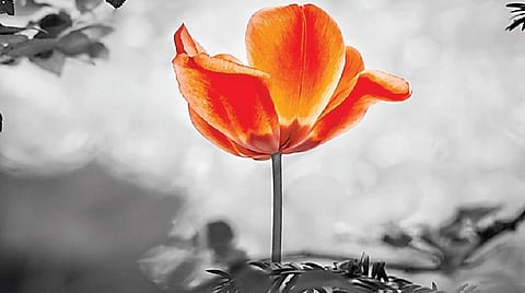 உட்பொருள் அறிவோம் 36: பிரம்மம் கடவுள்