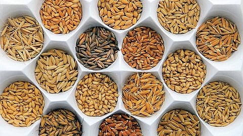 அஞ்சலி: மண்ணின் மகத்துவம் உணர்த்திய பன்முகச் செம்மல்