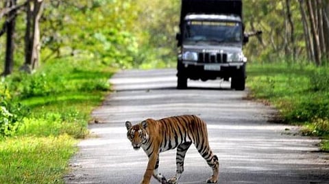 பிரதிநிதித்துவப் படம்