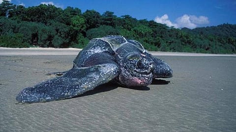 கோப்புப்படம்