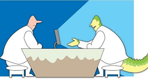 எண்ணித் துணிக: முதலீடு தருமா? மொட்டை அடிக்குமா?