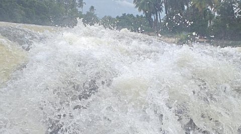 தொடர் மழை காரணமாக உத்தமபாளையம் பகுதியில் முல்லை பெரியாற்றில் சீற்றத்துடன் கடந்து செல்லும் நீர்.