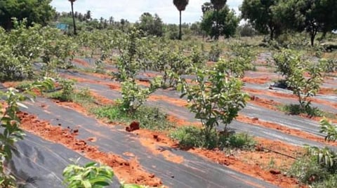 கோப்புப்படம்