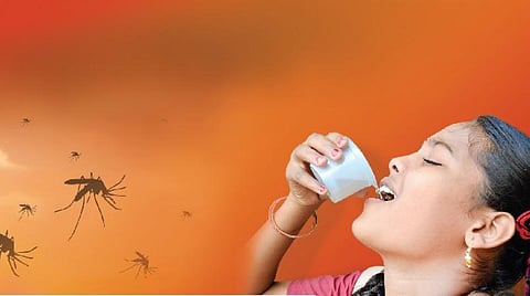 டெங்குவை விரட்டும் மூலிகை மருத்துவம்