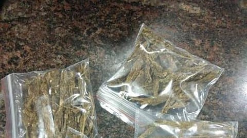 பிரதிநிதித்துவப் படம்