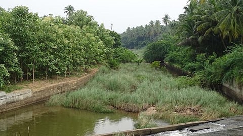 முள்ளிப்பள்ளத்தில் கிருதுமால் நதி துவங்கும் இடம் | படங்கள் த.இளங்கோவன்