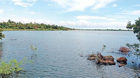 வாயலூர் தடுப்புச் சுவர் அருகே பாலாற்றில் தேங்கியுள்ள தண்ணீர். படம்: கோ.கார்த்திக்