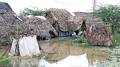 பஞ்சந்திருத்தி கிராமத்தில் பழங்குடியின மக்களின் குடிசை வீடுகளை மழைநீர் சூழ்ந்துள்ளது. படம்: கோ.கார்த்திக்