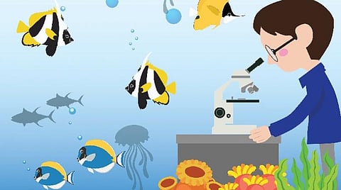 உயர்கல்விக்கு திறவுகோல் - 9: மீன்வள நிபுணர் ஆகலாம்!