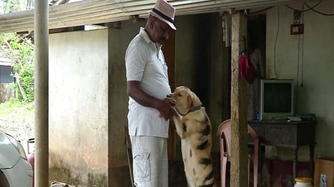 புலியை போல வரிகள் வரையப்பட்ட தனது நாயுடன் விவசாயி ஸ்ரீகாந்த்