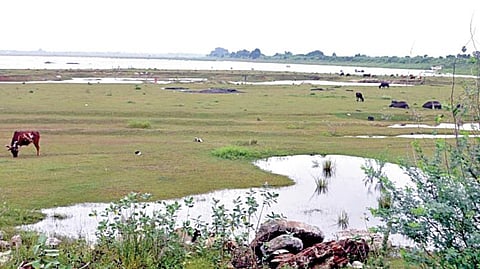 கனமழை பெய்தும் வறண்ட நிலையில் உள்ள உத்திரமேரூர் ஏரி.