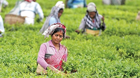 களத்தில் பெண்கள்: போராட்டத்தின் வலிமையை உணர்த்திய கரங்கள்