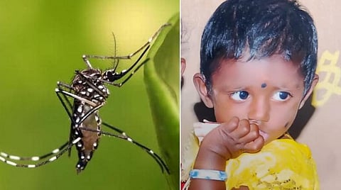 விருதுநகரில் டெங்கு காய்ச்சலுக்கு 4 வயது சிறுமி உயிரிழப்பு