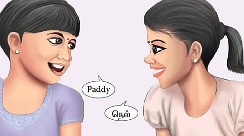 குறுக்கெழுத்துப் புதிர்