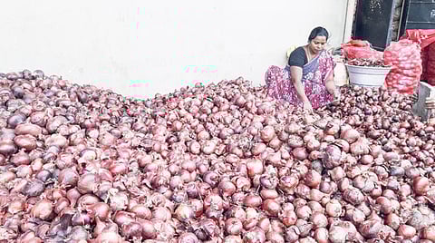 எகிப்து, நைஜீரியா, துருக்கி நாடுகளில் இருந்து இறக்குமதியால் விலை குறைந்தது பெரிய வெங்காயம்: சின்ன வெங்காயம் இப்போதைக்கு குறைய வாய்ப்பில்லை