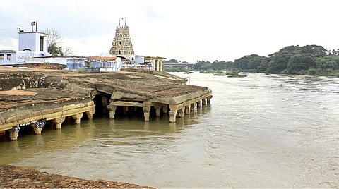 நெல்லை, தென்காசி மாவட்டங்களில் பரவலாக மழை: மணிமுத்தாறு அணை நீர்மட்டம் 109 அடியை தாண்டியது 