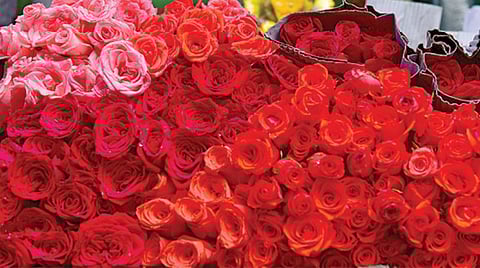 மதுரை மாட்டுத்தாவணி மலர் சந்தையில் விற்பனைக்கு வைக்கப்பட்டுள்ள ரோஜா மலர்கள்.படம்: எஸ்.கிருஷ்ணமூர்த்தி