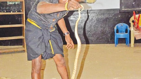 பொள்ளாச்சி ஏபிடி சாலையில் உள்ள அங்கன்வாடியில் பிடிபட்ட நாகப்பாம்பு.