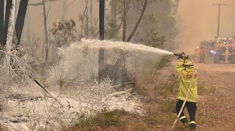 ஆஸ்திரேலிய காட்டுத் தீ: வனவிலங்குகளைக் காப்பாற்றிய ஊழியர்கள்