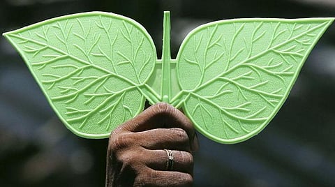 பிரதிநிதித்துவப் படம்