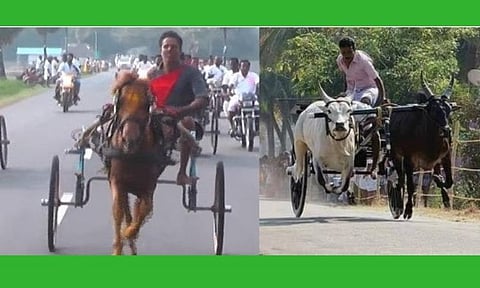 நாகை, திருக்கடையூர் ரேக்ளா ரேஸுக்கு உயர் நீதிமன்றம் தடை