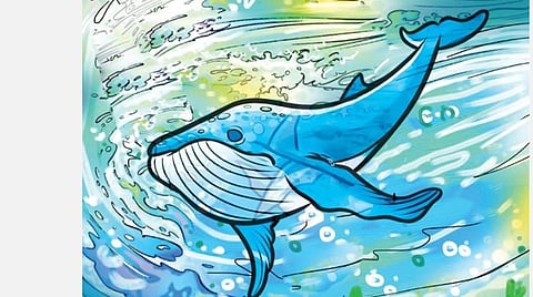 கதை: குப்பை உண்ணும் திமிங்கிலம்