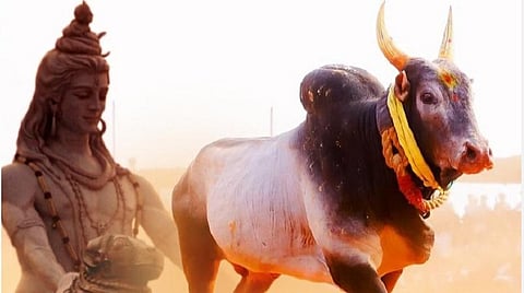 'ஜல்லிக்கட்டு இந்துக்களின் விளையாட்டு': தமிழக பாஜக புதிய விளக்கம்