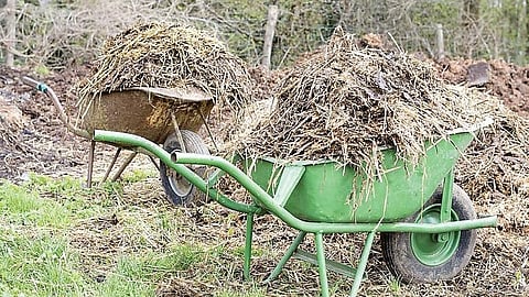 விதை முதல் விளைச்சல் வரை 18: பயிர் சாகுபடியில் சுற்றுச்சூழல் பராமரிப்பு