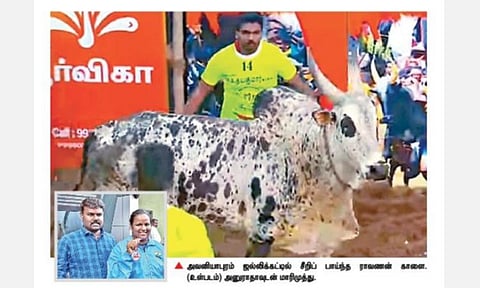 அவனியாபுரம், அலங்காநல்லூர் ஜல்லிக்கட்டில் மாடுபிடி வீரர்களை கலங்கடித்த பெண் எஸ்.ஐ.யின் காளை: சமூக வலைதளங்களில் குவியும் பாராட்டு