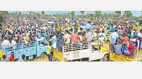 மஞ்சுவிரட்டில் மாடு முட்டி பார்வையாளர் மரணம்