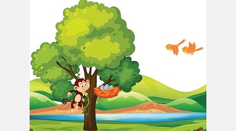 கதை: குரங்கின் விஷமம்!